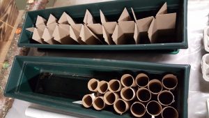 Use what you have for starting seeds. Toilet paper rolls and beer bottle inserts. 