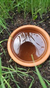 Reflection...olla filled with water. The water will slowly seep out and water the plants. 
