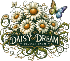 Daisy Dream Flower Farm